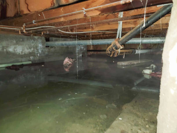 Best Emergency water damage restoration  in Gilroy, CA