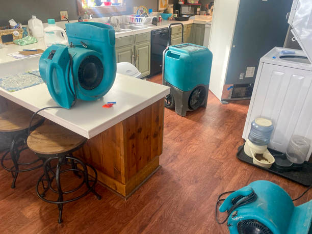 Best Ceiling water damage repair  in Gilroy, CA