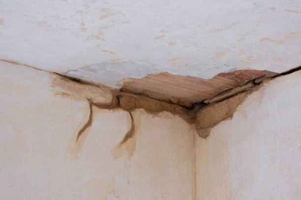Best Commercial water damage restoration  in Gilroy, CA