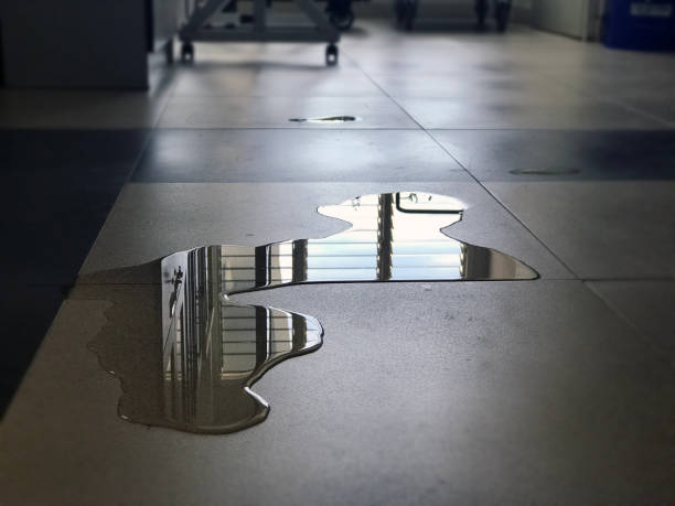 Water damage restoration insurance claims in Gilroy, CA