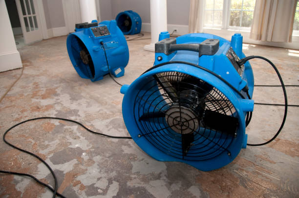 Trusted Gilroy, CA Water damage restoration Experts