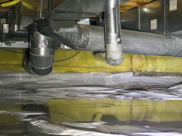 Best Basement water damage restoration  in Gilroy, CA