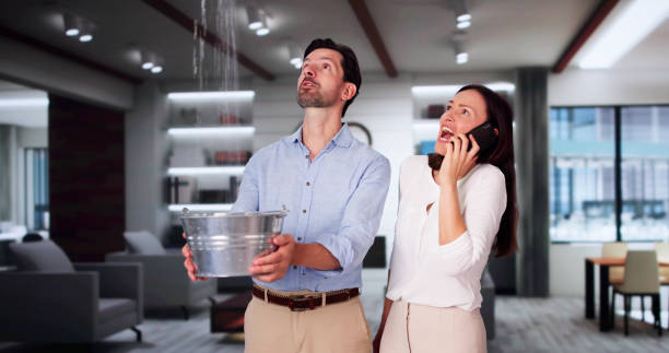 Best Carpet water damage restoration  in Gilroy, CA