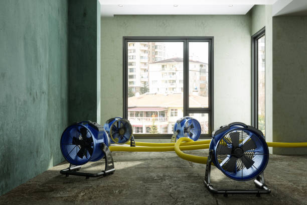 Best Professional water damage repair  in Gilroy, CA